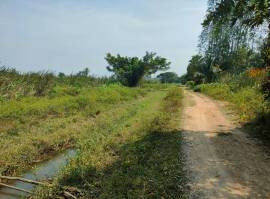 ขายที่ดินเปล่า 12-0-31 ไร่ ใกล้หาดปึกเตียน อ.ท่ายาง จ.เพชรบุรี