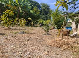 ขายที่ดินเปล่า 136 ตรว. ใจกลางเมือง (ซ.ลาดปลาเค้า 76) เขตบางเขน กทม.