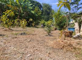 ขายที่ดินเปล่า 136 ตรว. ใจกลางเมือง (ซ.ลาดปลาเค้า 76) เขตบางเขน กทม.