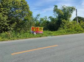 ขายที่ดินเปล่า 2-0-92 ไร่ ติดถนนทางหลวง 3351 อ.บางปลาม้า จ.สุพรรณบุรี
