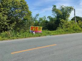 ขายที่ดินเปล่า 2-0-92 ไร่ ติดถนนทางหลวง 3351 อ.บางปลาม้า จ.สุพรรณบุรี