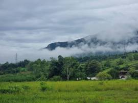 ขายด่วนที่ดินสวยเขาค้อ 5 ไร่ 32 ตร.วา ราคา 35 ล้านบาท วิวภูเขา ต.แคมป์สน อ.เขาค้อ จ.เพชรบูรณ์