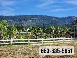 ขายที่ดินในโครงการ vip วิวเขาอลังการ เพื่อนบ้านไฮโซ ย่านเขาพระ นครนายก การเดินทางสะดวกสบายใกล้แหล่งท่องเที่ยวมากมาย