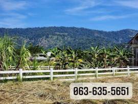 ขายที่ดินในโครงการ vip วิวเขาอลังการ เพื่อนบ้านไฮโซ ย่านเขาพระ นครนายก การเดินทางสะดวกสบายใกล้แหล่งท่องเที่ยวมากมาย