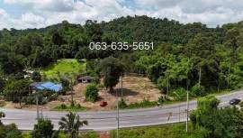 ขายที่เนินสูงกว่าถนนเดินทางง่ายที่สุด ติดถนน 4 เลน ฮวงจุ้ยท้องมังกร ต.หินตั้ง อ.เมืองนครนายก การเดินทางสะดวก